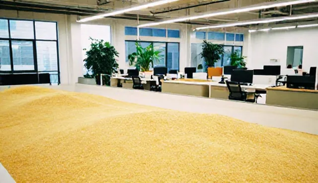 种植过程中润滑管理问题如何解决?